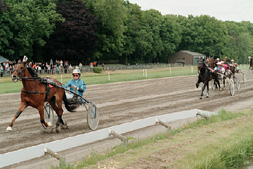 Ineke